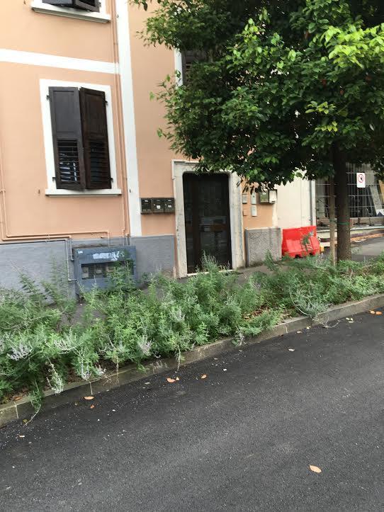 Appartamento I Sentieri 23 Ρίβα ντελ Γκάρντα Εξωτερικό φωτογραφία